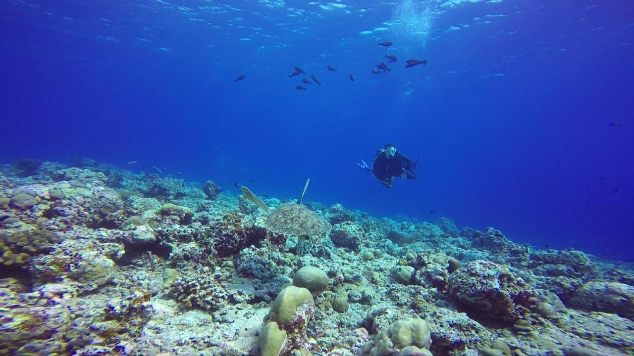 Sky Beach Maldives - Dhiffushi Exterior foto